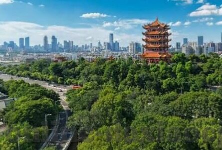 球探网足球即时比分比分-探秘球探网足球即时比分,球迷的实时信息宝库